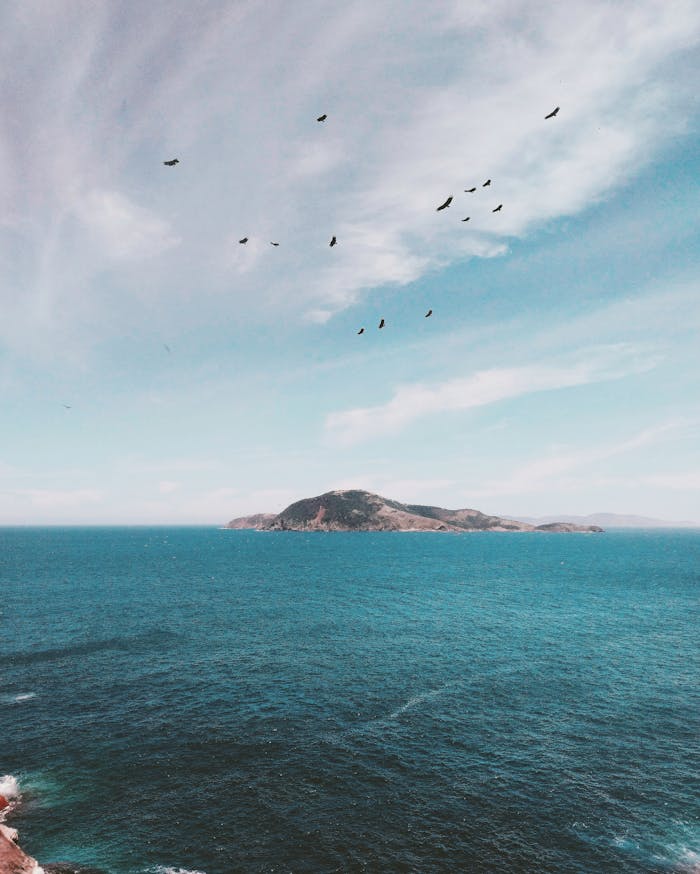 Mastering the First Impression: Your intriguing post title goes here